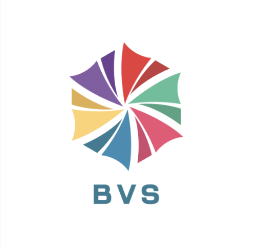 Bharath Vyapar Solutions logo